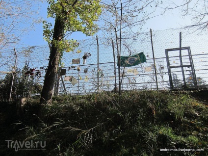 Imola - oraș și circuit