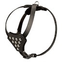 Інтернет-магазин fordogtrainers (fordogtrainers) Інтернет-магазин fordogtrainers