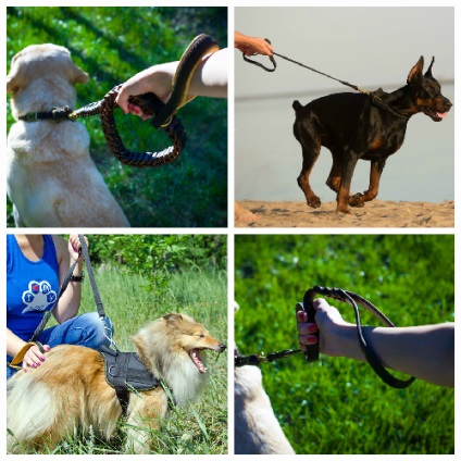 Інтернет-магазин fordogtrainers (собачі нашийники) Інтернет-магазин fordogtrainers