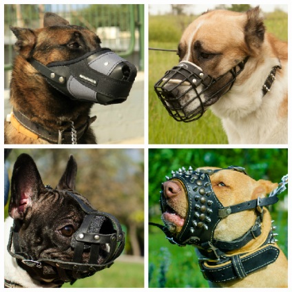 Інтернет-магазин fordogtrainers (Вашої собаки більше) Інтернет-магазин fordogtrainers