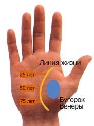 Modificări în viață - linia vieții - palmistry - magie alb-negru, conspirații, privorot