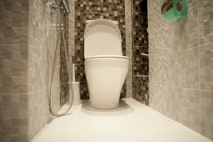 Placi pentru toaleta (60 pics) video-instructiuni pentru instalarea de faianta cu mainile proprii, pret, fotografie