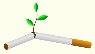 Cum să renunțe la fumat cu remedii folk, site-ul despre un stil de viață sănătos