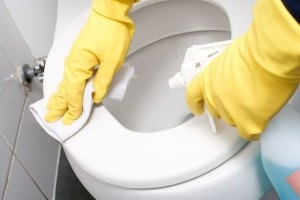 Cum să curățați vasul de toaletă din metode de piatră urinară, unelte, recenzii
