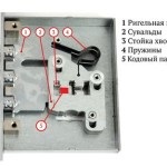 Cum să schimbi larva în castel cu mâinile tale