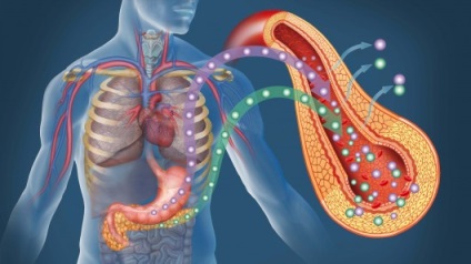 Cum de a restabili figura de subțire după 35 de a accelera metabolismul și pierderea în greutate fără dieting