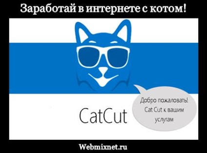 Cum am realizat câștigurile pe Internet pe blogul catac catcut - maxima obukhov