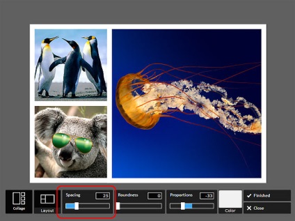 Colaj de fotografii în editorul online