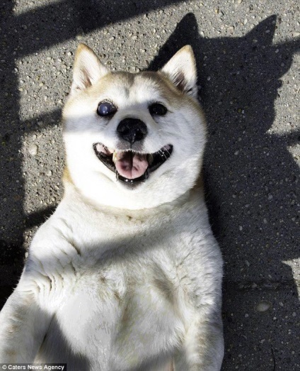 Scorțișoara este cel mai fericit câine din lume