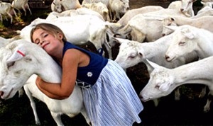 Kozlenochkom va beneficia fie și va face rău laptele de capră atunci când hrănește copiii cu vârsta de până la un an sau mai mult,