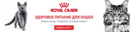 Cumpărați un leagăn pentru un câine în Irkutsk