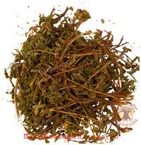 Kuril tea (cserje bokrok)