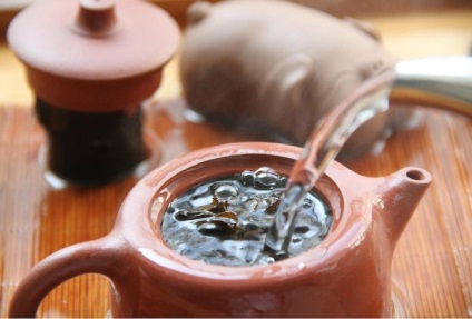 Ceaiul Kuril - proprietăți utile, plantare și îngrijire, cum să preparați, cumpărați, recenzii