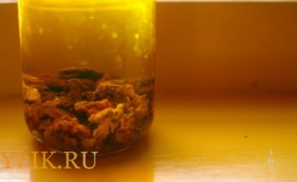 Tratamentul cu propolis în trăsăturile de medicină populară, rețete și videoclipuri