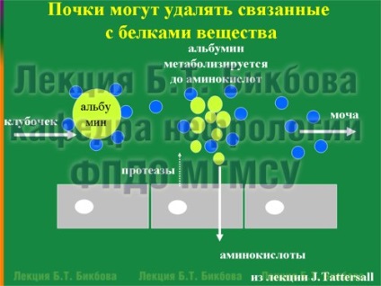 Evaluarea evaluării dozei de hemodializă, omnibus rebus, borax bicls