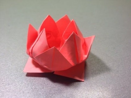 Lilie din hârtie obișnuită, ondulată, origami, video