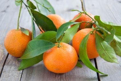 Mandarin decât util pentru corpul de mandarine oase proprietăți utile - viața mea