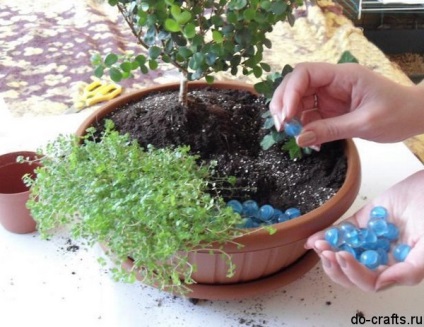Mini grădină în oală cu mâinile, cum să desenezi o fotografie