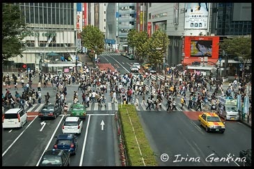 Cea mai mare călătorie în Japonia - Tokyo și zona înconjurătoare - Shibuya și Odaiba, cele 100 de drumuri