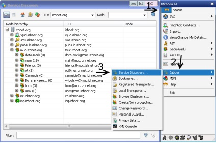 Configurarea unui client jabber utilizând exemplul miranda - jabber - wikipedia la