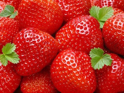 Tratarea căpșunilor în primăvară din cauza bolilor și dăunătorilor