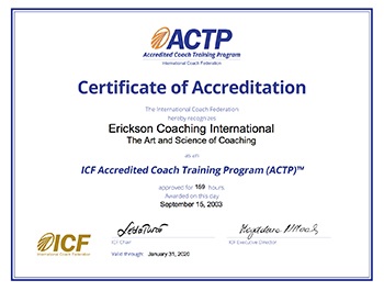 Cursuri de instruire privind programul de certificare, cursuri de coaching eficiente la Moscova