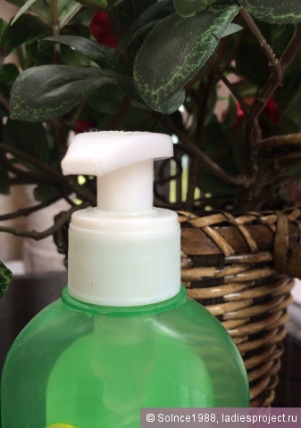 Cleansing gel-spuma pentru fata - de îngrijire de bază - de la Garnier - comentarii, fotografii și preț