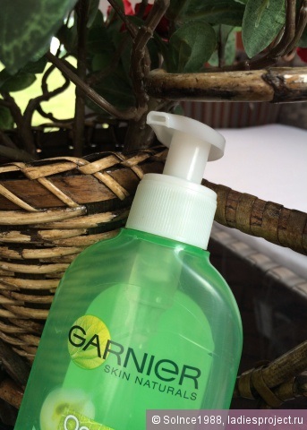 Cleansing gel-spuma pentru fata - de îngrijire de bază - de la Garnier - comentarii, fotografii și preț