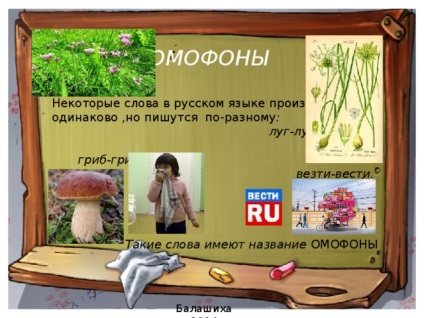 Homonyme - limba rusă, prezentări
