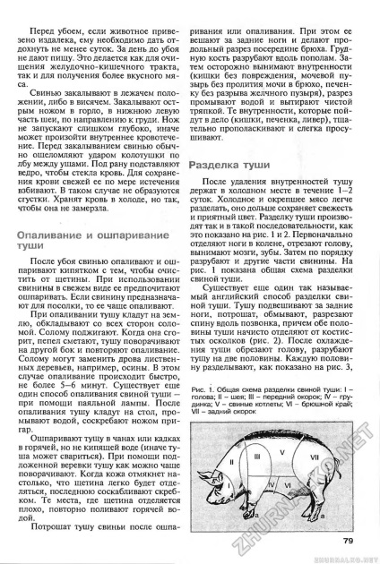 Masa de tăiere a mascării de tăiere și de ardere - DIY (cunoștințe) 2004-03, pagina 81