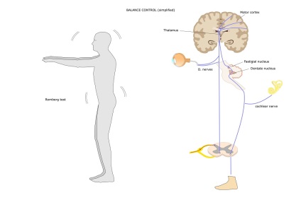 Cerebelláris tumor tünetei, diagnózisa és kezelése