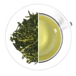 A különbség a fekete tea és a zöld tea között
