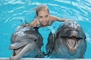 Înotați cu delfinii în diguri