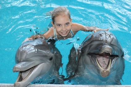 Înotați cu delfinii în diguri