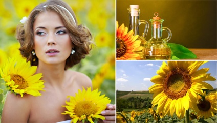 Ulei de floarea-soarelui pentru proprietățile și aplicațiile feței