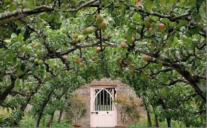 Zona de grădină uimitoare mai mică, recoltă