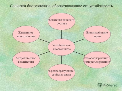 Prezentare pe tema proiectului biocenozei și sustenabilitatea acestuia