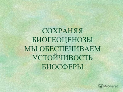 Prezentare pe tema proiectului biocenozei și sustenabilitatea acestuia