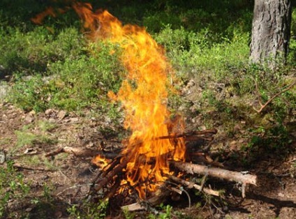 Siguranța la foc în pădure și vânătoare