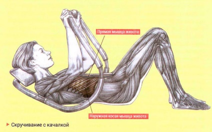 Răsucirea directă și laterală a simulatoarelor pentru presa ideală - viața mea sportivă