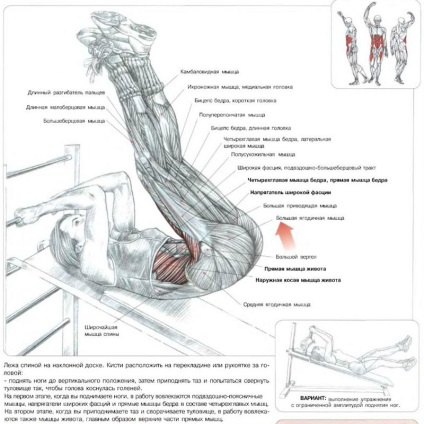 Răsucirea directă și laterală a simulatoarelor pentru presa ideală - viața mea sportivă