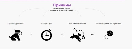 Puller vásárolni Moszkvában egy kedvező áron (olcsó) 🐕 az online áruházban