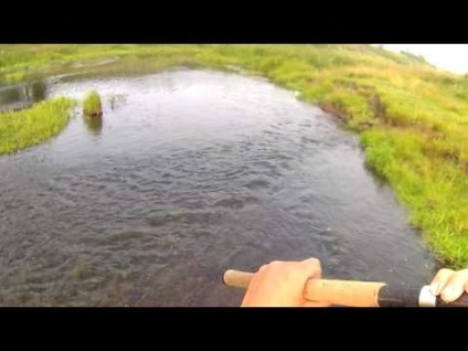 Râul de grayling de pescuit cu amil