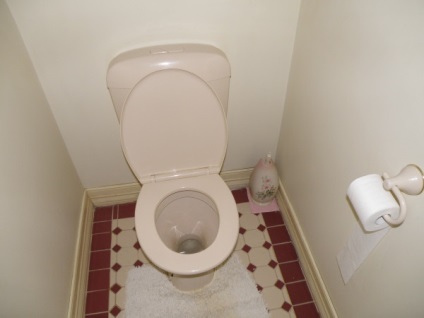 Repararea toaletei cu propriile mâini în estimările apartamentului, opțiuni, instrucțiuni video cum să faci și fotografii