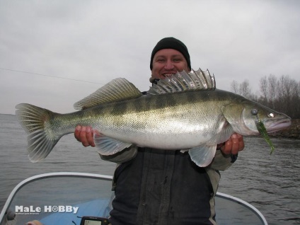 Pescuitul în lunca Volga-Akhtuba și în anul 2016