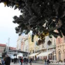 Piețele de Crăciun din Zagreb, blogul Annei despre romane