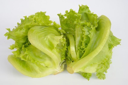 Salate iceberg proprietăți utile și compoziția de verdeață