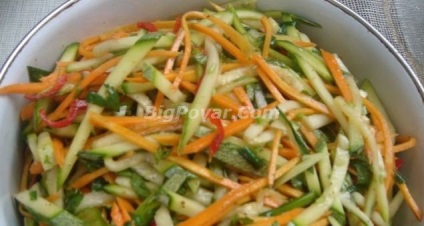 Saláta nyers cukkiniből 5 legjobb recept recept fotóval, lépésről lépésre főzés