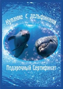 Certificat pentru înot cu delfini în Sankt Petersburg