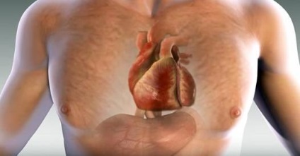 Șase moduri în care inima voastră vă poate avertiza de un atac de cord